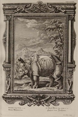WBW 13663
<br/>
Geestelyke Natuurkunde.
<br/>
<em></em>